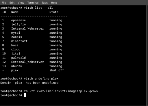 deleting my plex vm via terminal